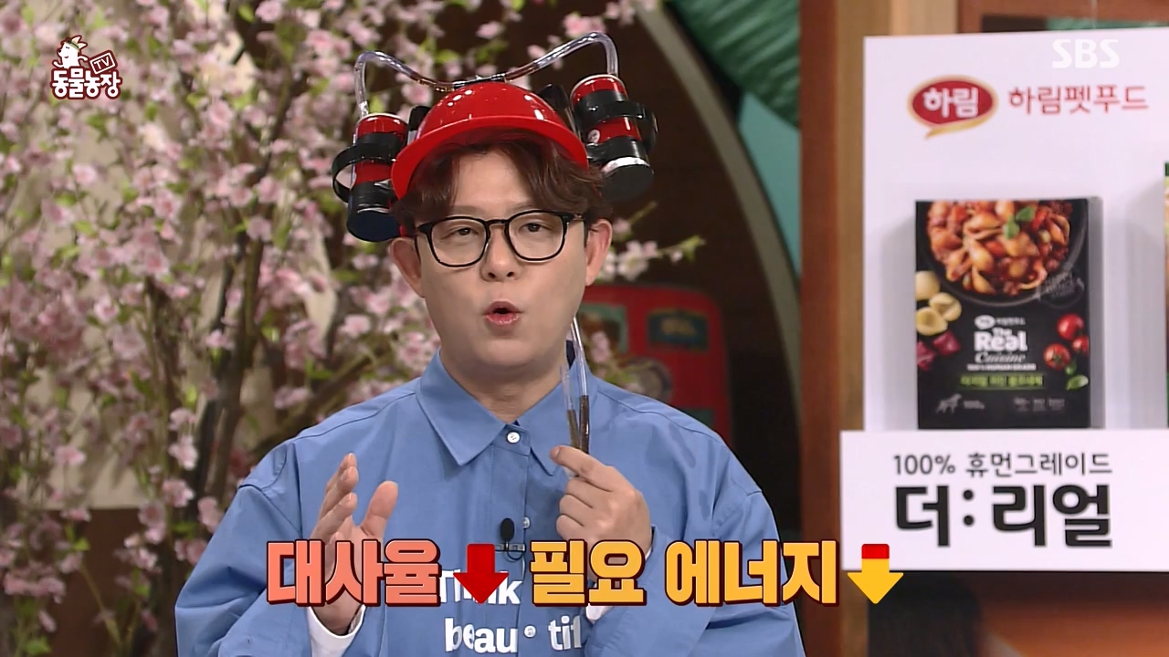 TV 동물농장.E1122.230529p-NEXT.mp4_20230528_170252.787.jpg