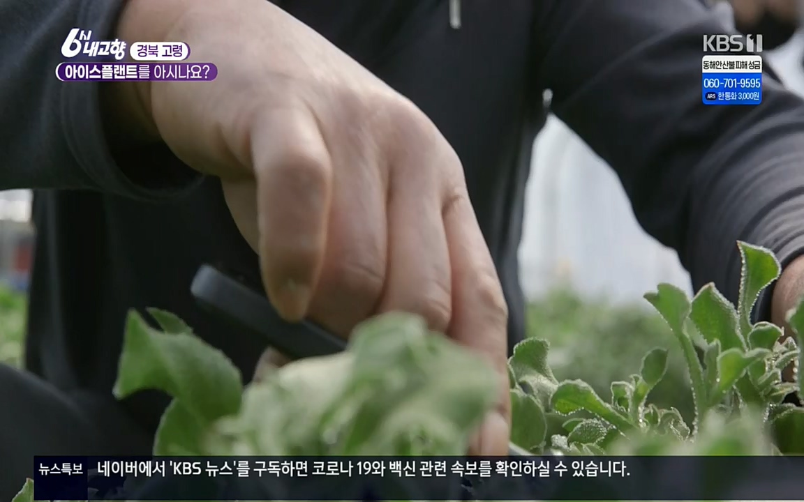 6시 내고향.E7498.220329p.H264-F1RST.mp4_20220329_184029.368.jpg