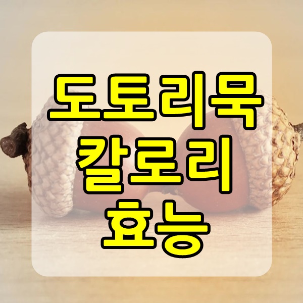  도토리묵 칼로리 및 대단한 효능 까지