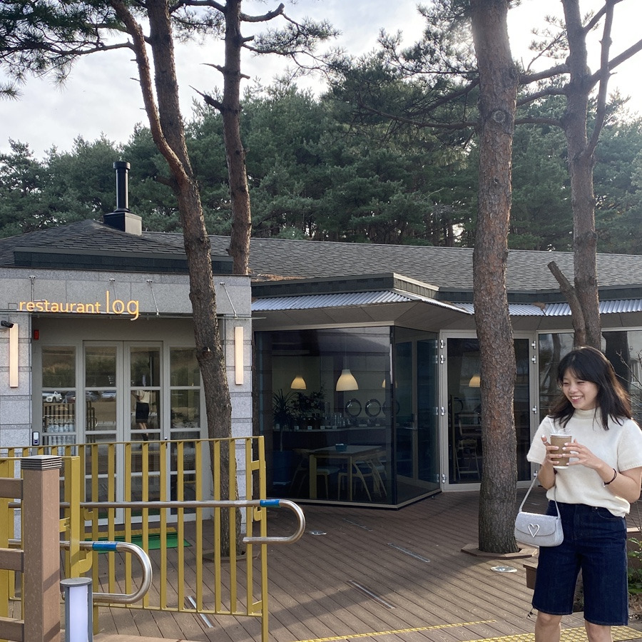 서피란 이미지