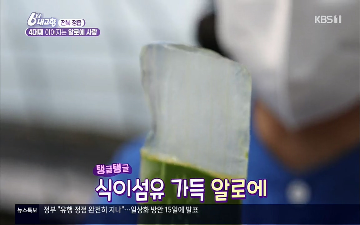 6시 내고향.E7511.220415p.H264-F1RST.mp4_20220425_165918.386.jpg