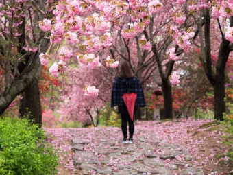 전주 완산칠봉 꽃동산 등산로 벙커 코스_14