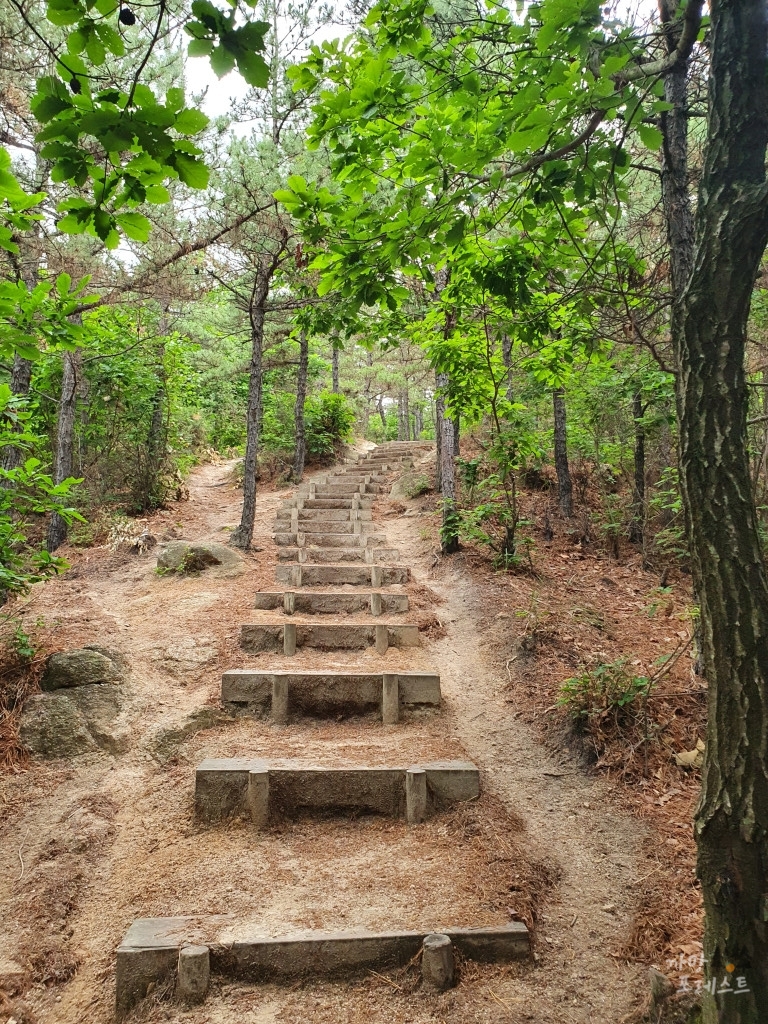 칠보산 등산로