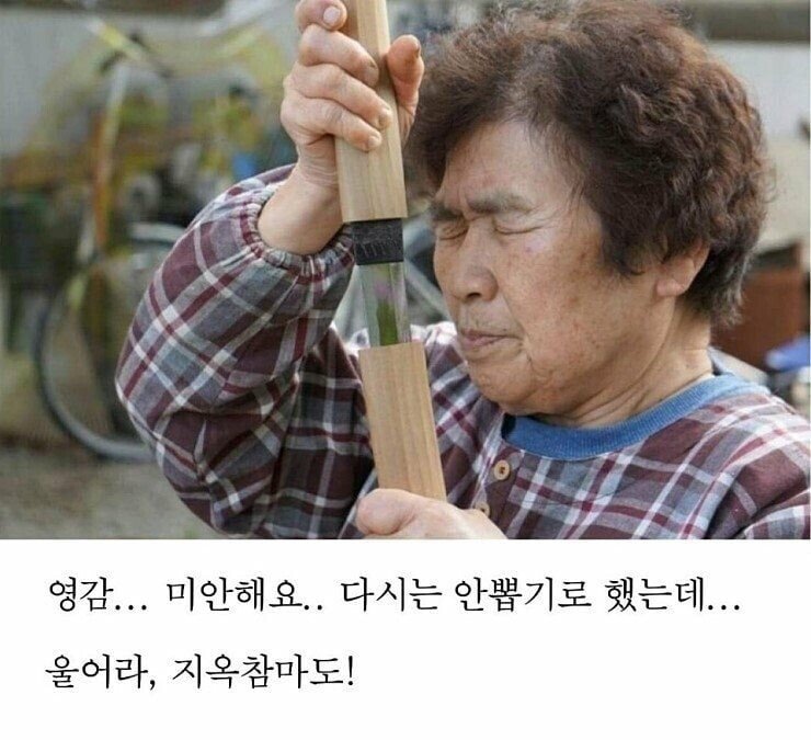   뚜뚜월드