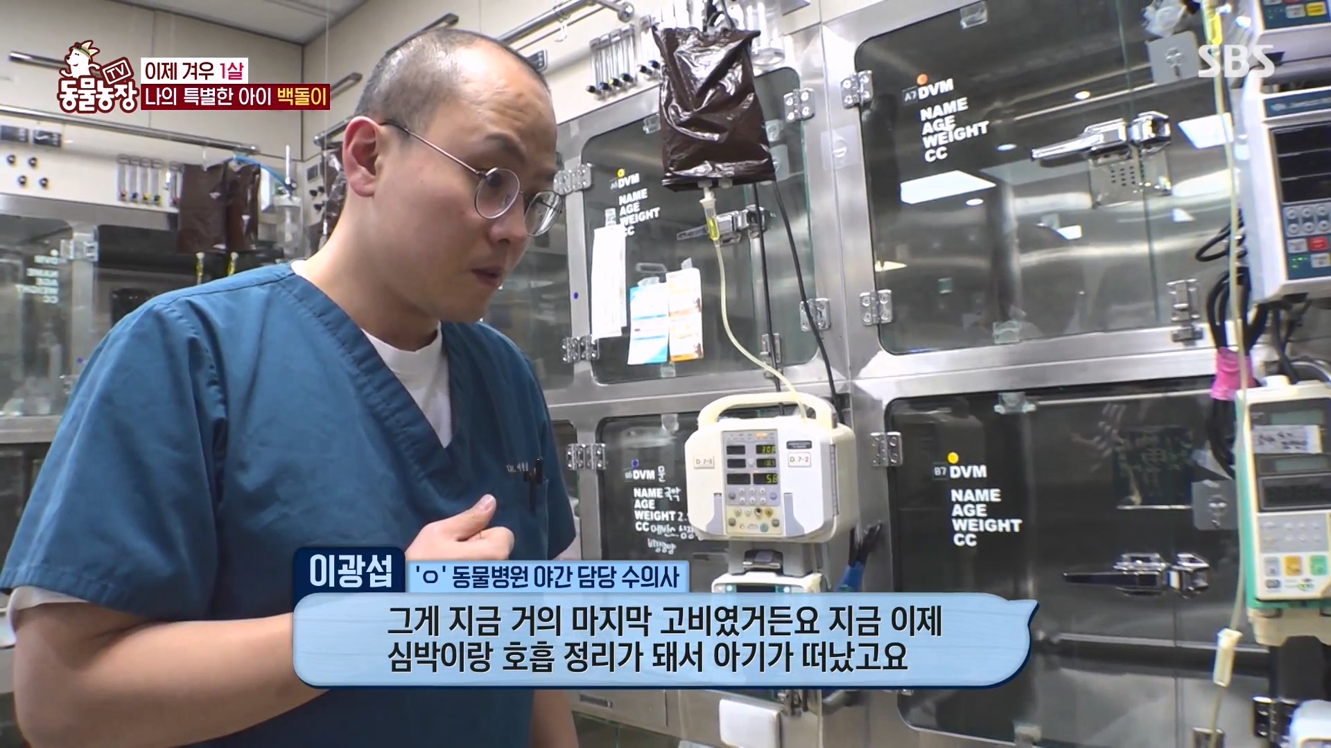 TV 동물농장.E1164.240324p-NEXT.mp4_20240324_171848.014.jpg