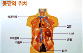 신장이 안좋으면 나타나는 증상 9
