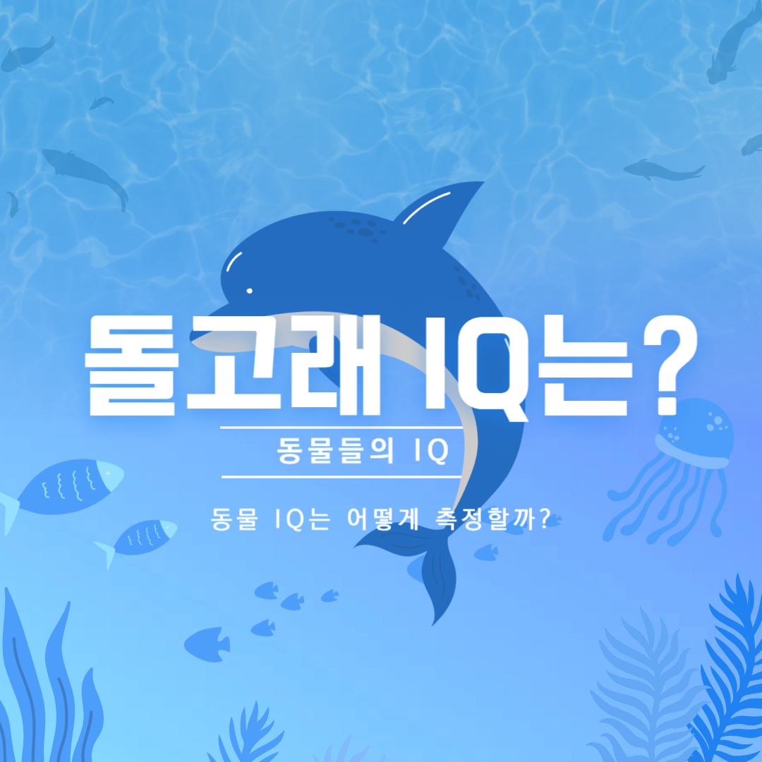 돌고래-아이큐-측정-방법