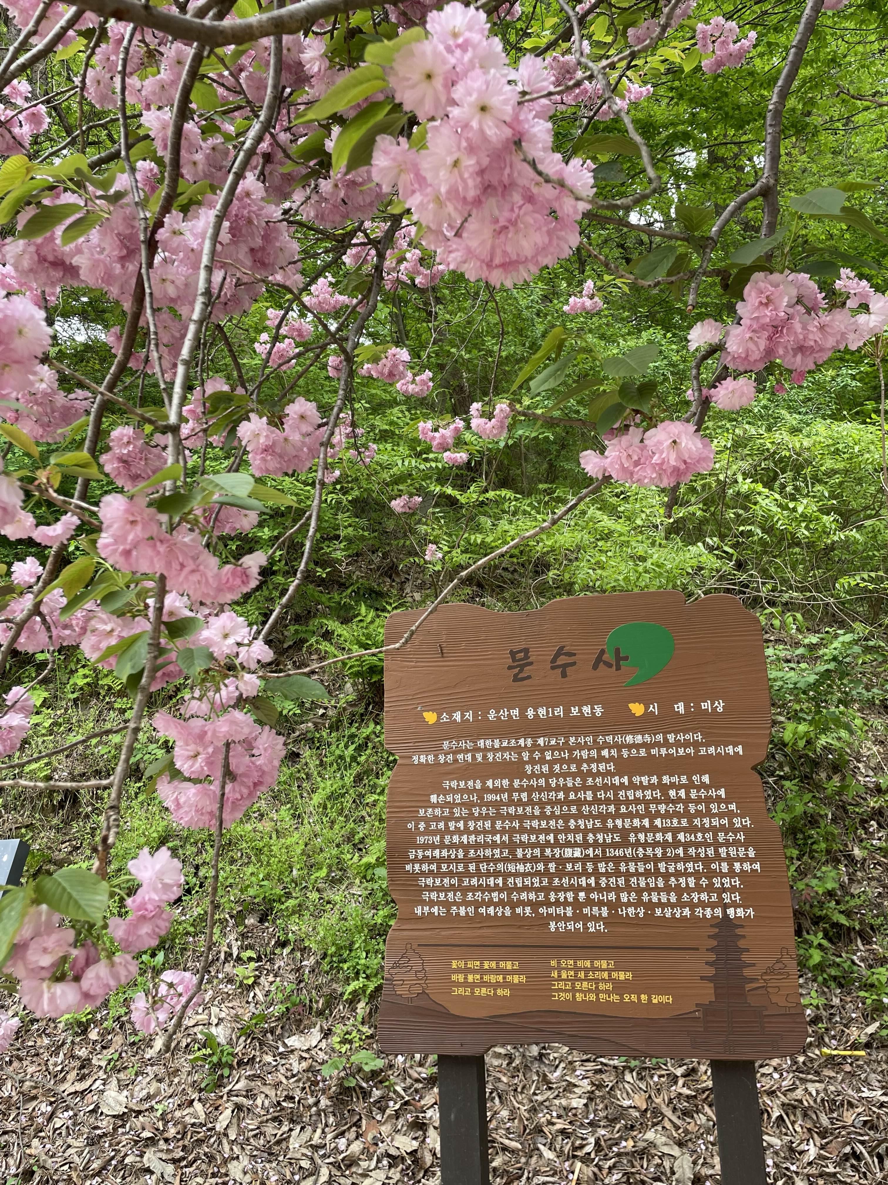 etc-image-21