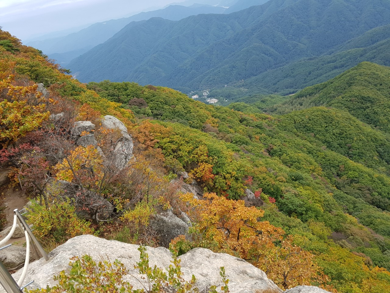 축령산 가을풍경 ⓒ네이버 이미지