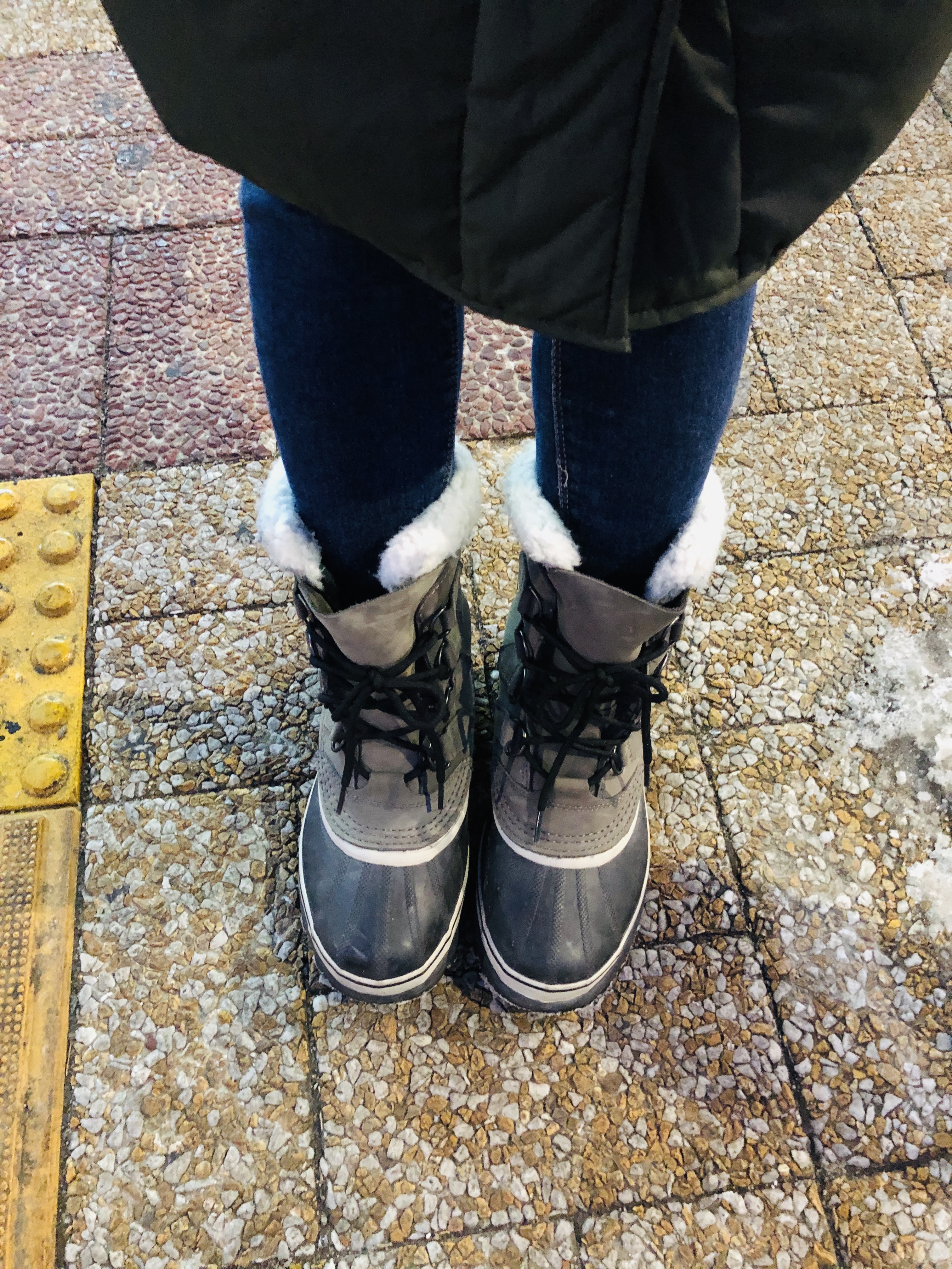  소렐 카리부