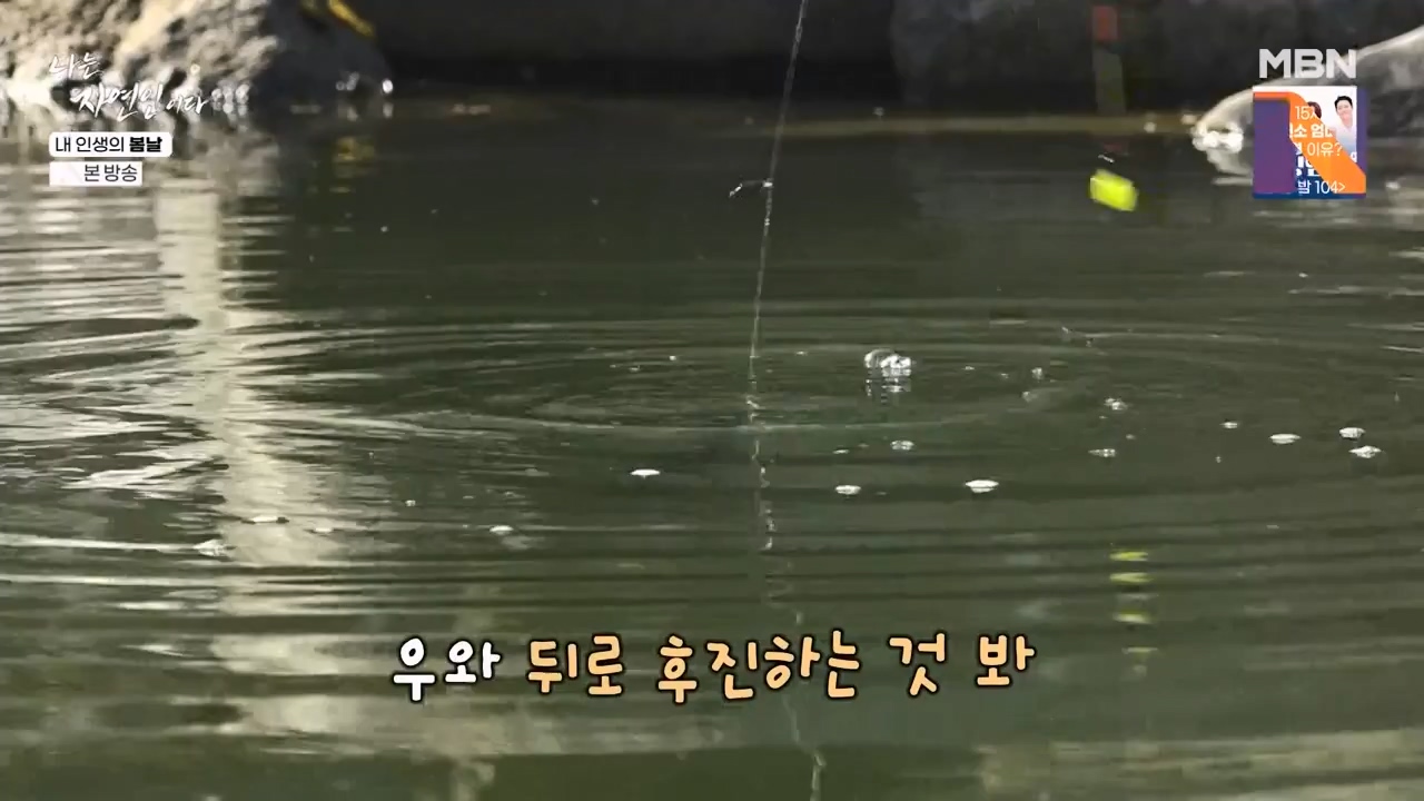 나는 자연인이다.E599.240328p-NEXT.mp4_20240328_195837.289.jpg