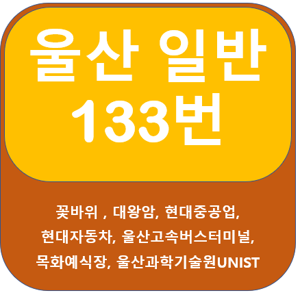  울산 133번 버스 노선 정보,  울산과기대 ~ 꽃바위