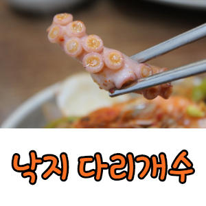  낙지 다리개수(문어, 주꾸미, 세발낙지, 오징어, 새우, 골뚜기)