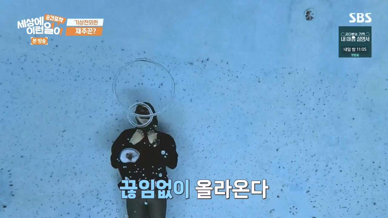 순간포착 세상에 이런일이.E1277.240512p-NEXT.mp4_20240512_151446.468.jpg