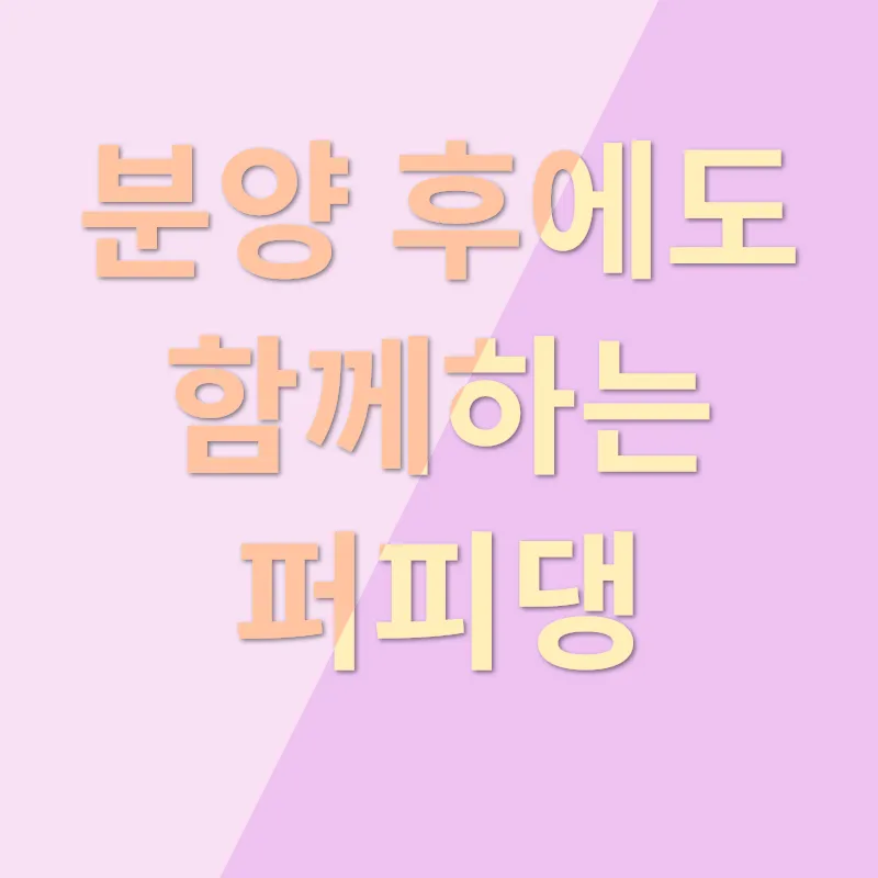 강아지 분양_3