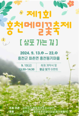 가을 나들이 꽃 축제 강원도 2곳