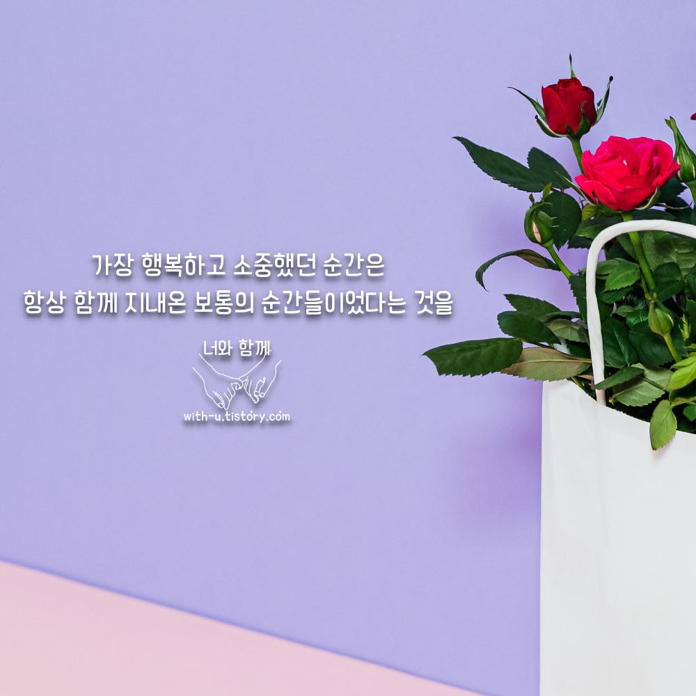  보통 명언 : 짧고 좋은 글귀 : 짧은 명언