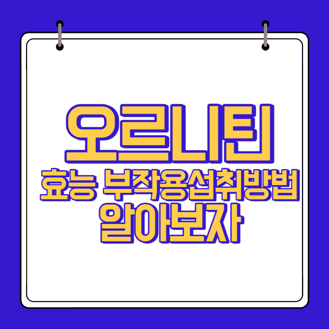  오르니틴 효능 부작용 알고 섭취 하자