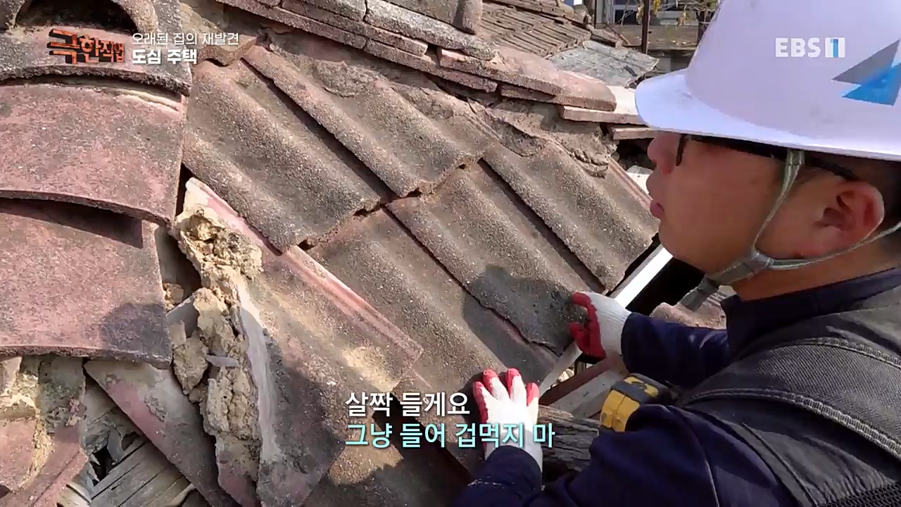 TV - 교육의 중심 EBS오래된 집의 재발견 농가와 도심 주택.mp4_20221120_152007.396.jpg