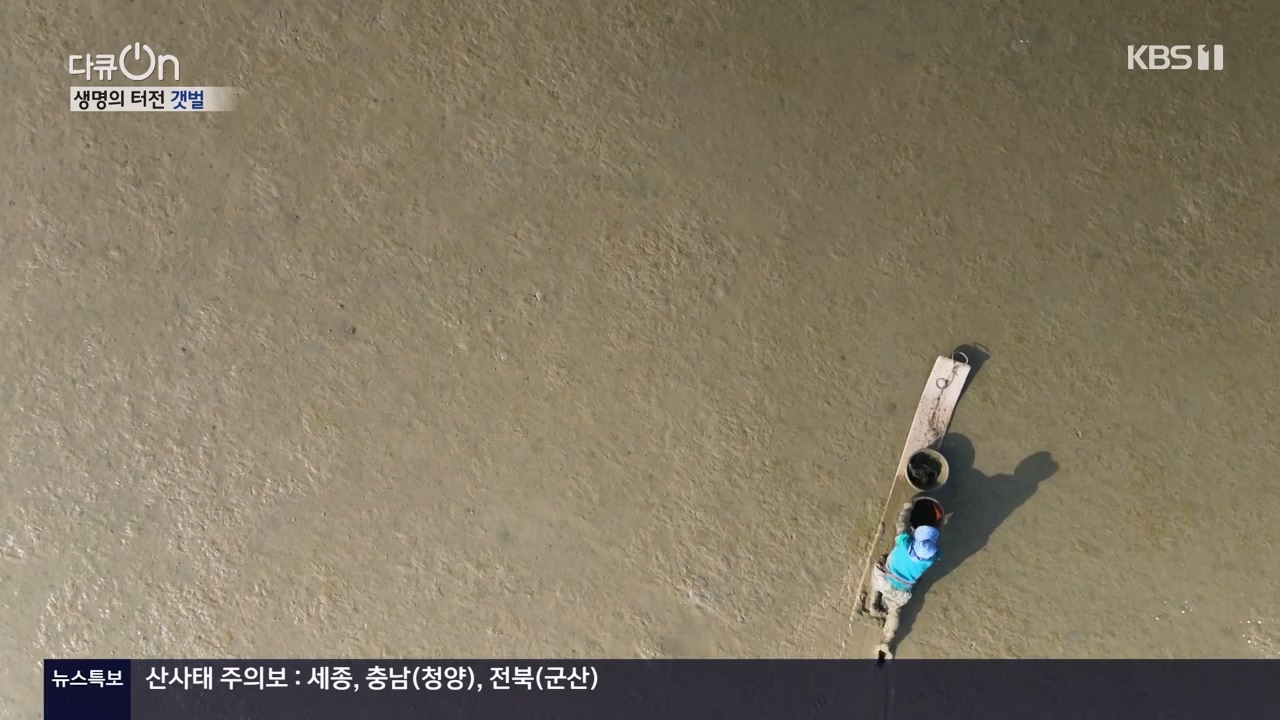 다큐 온.E206.230723p-NEXT.mp4_20230724_214216.208.jpg