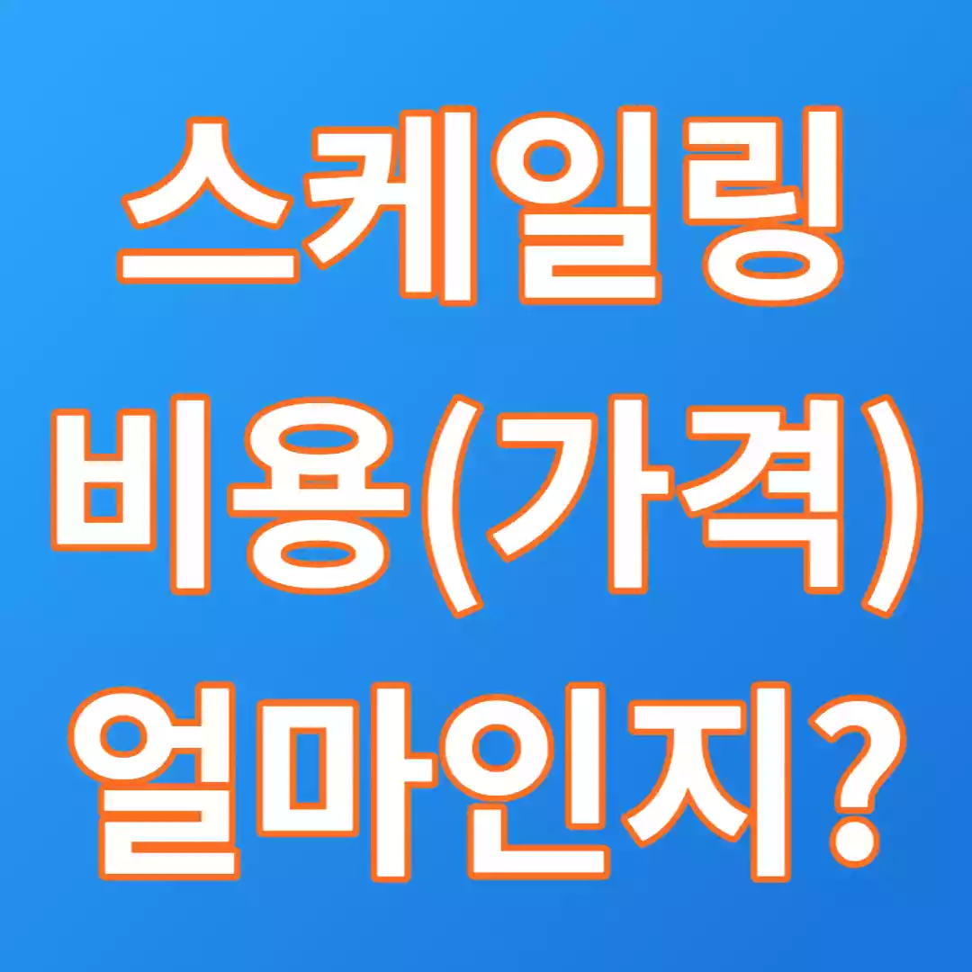  스케일링 비용(가격) 저렴한 곳 우리 동네는 얼마 정도 일까?