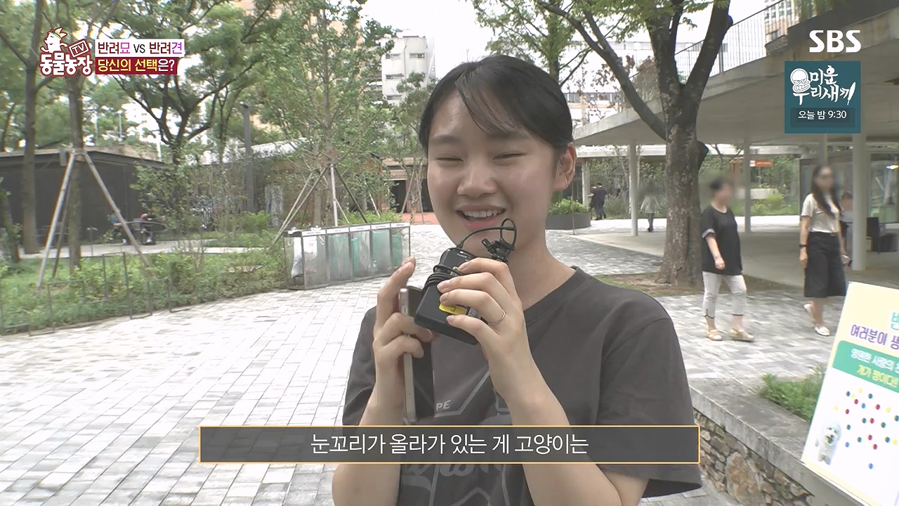 TV 동물농장.E1184.240812p-NEXT.mp4_20240811_172449.311.jpg
