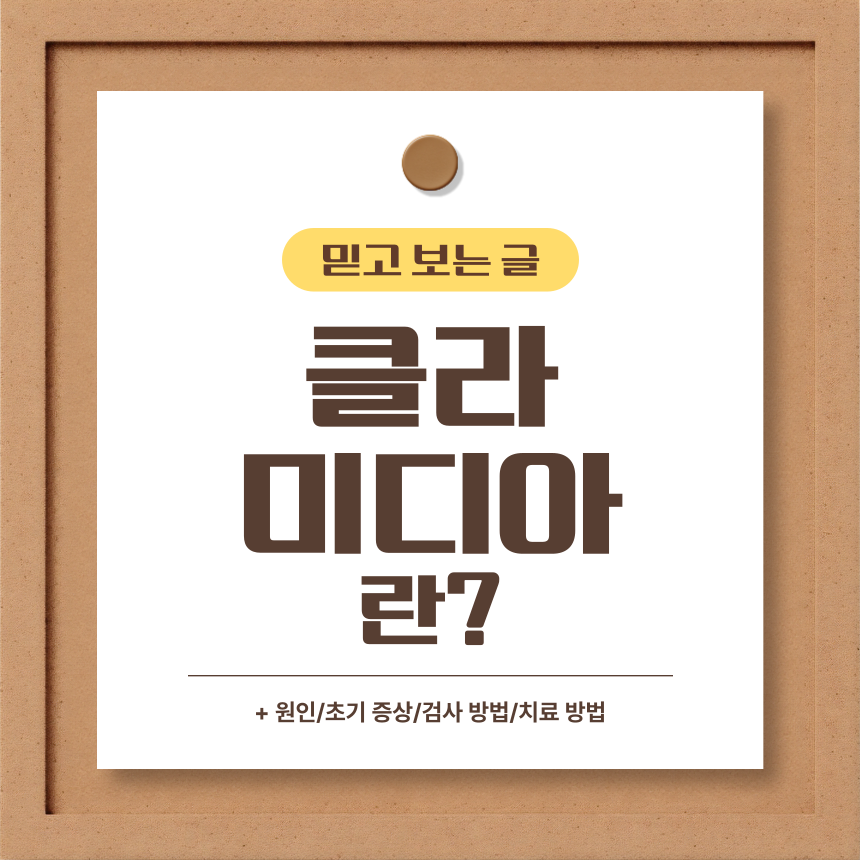  클라미디아 란?