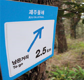 몸과 마음의 힐링 여행 - 제주도 올레길 7코스 - undefined - 모든 영역 몸과 마음의 힐링 여행 - 제주도 올레길 7코스 - undefined - 모든 영역