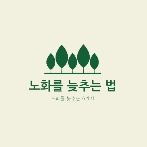  조금 더 젊게 사는 노화를 늦추는 법 6가지