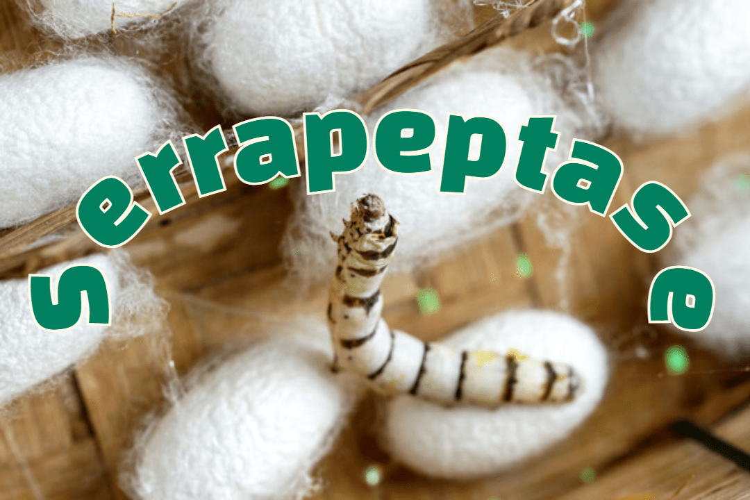 Serrapeptase