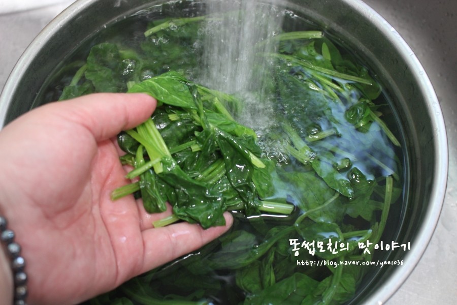 쉽고 간단한 시금치나 수련치 무침 만드는 법 5
