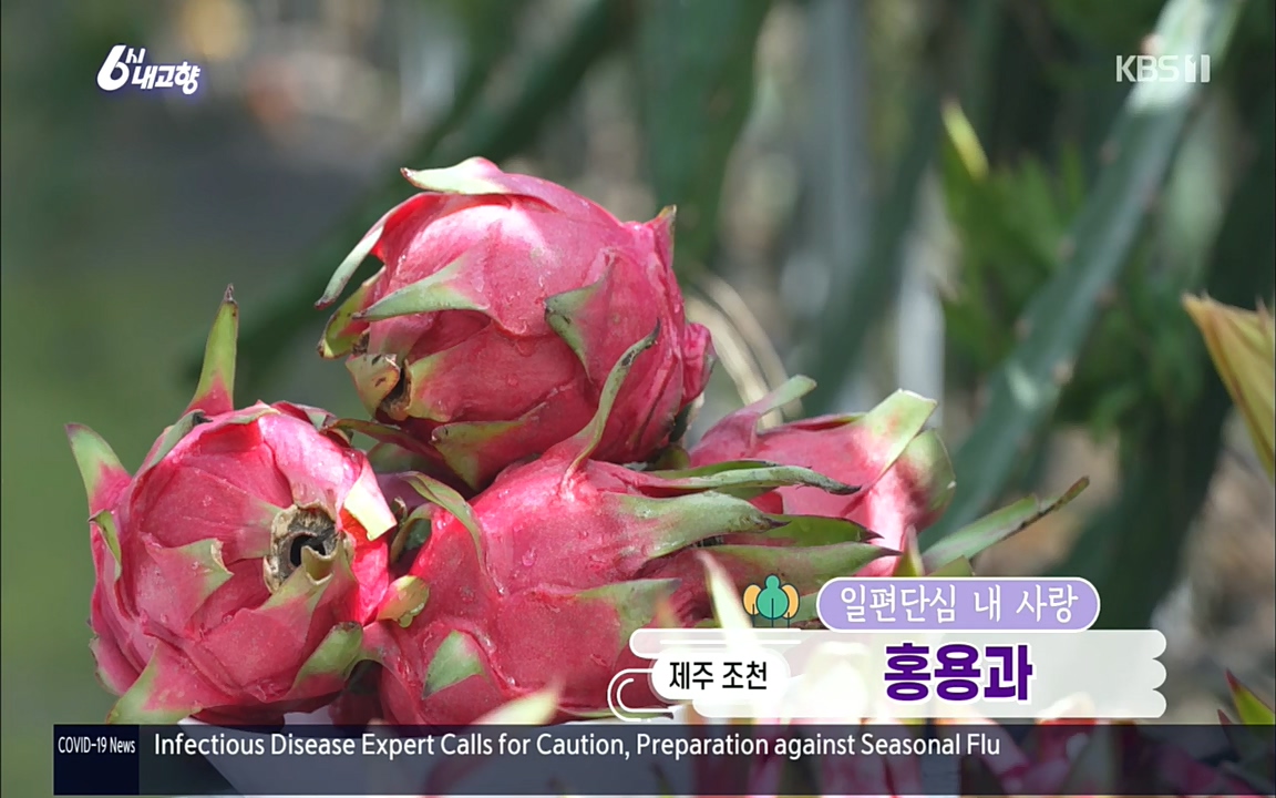 6시 내고향.E7617.220915p.H264-F1RST.mp4_20220916_204907.047.jpg