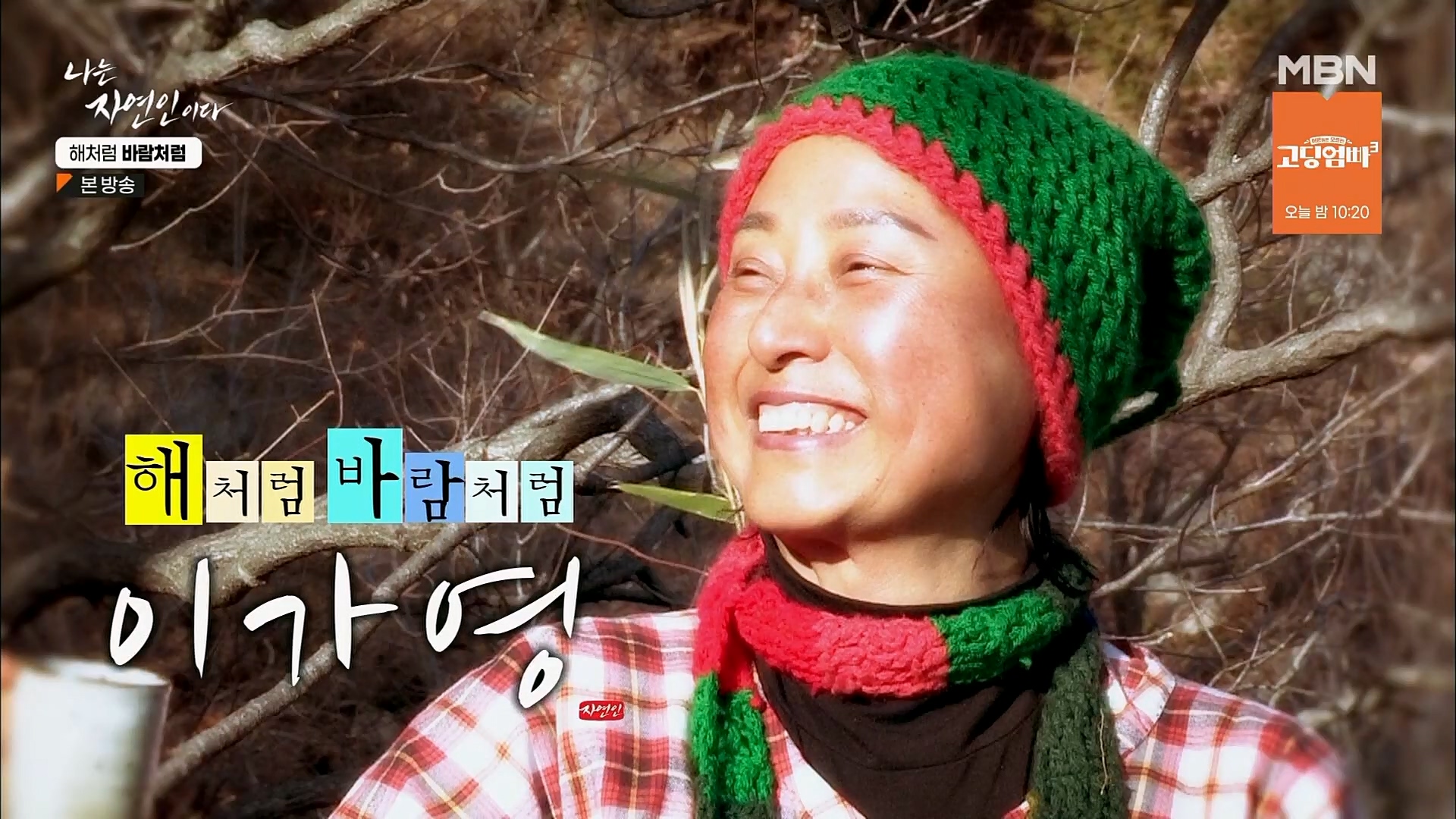 나는 자연인이다.E542.230222p.H264-F1RST.mp4_20230223_193400.011.jpg