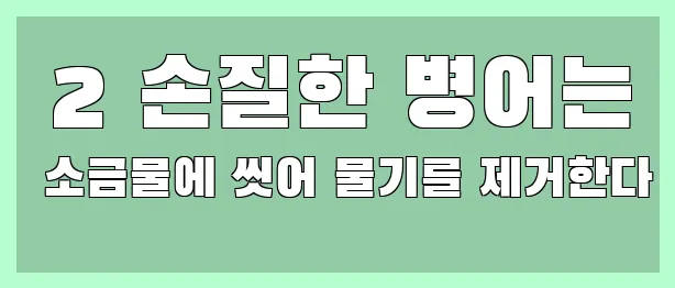  2 손질한 병어는 소금물에 씻어 물기를 제거한다