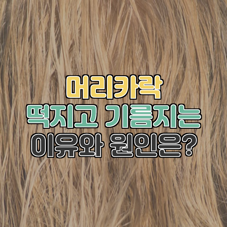  매일 감아도 기름 지는 머리와 머리 감기 귀찮을 때 대처 법