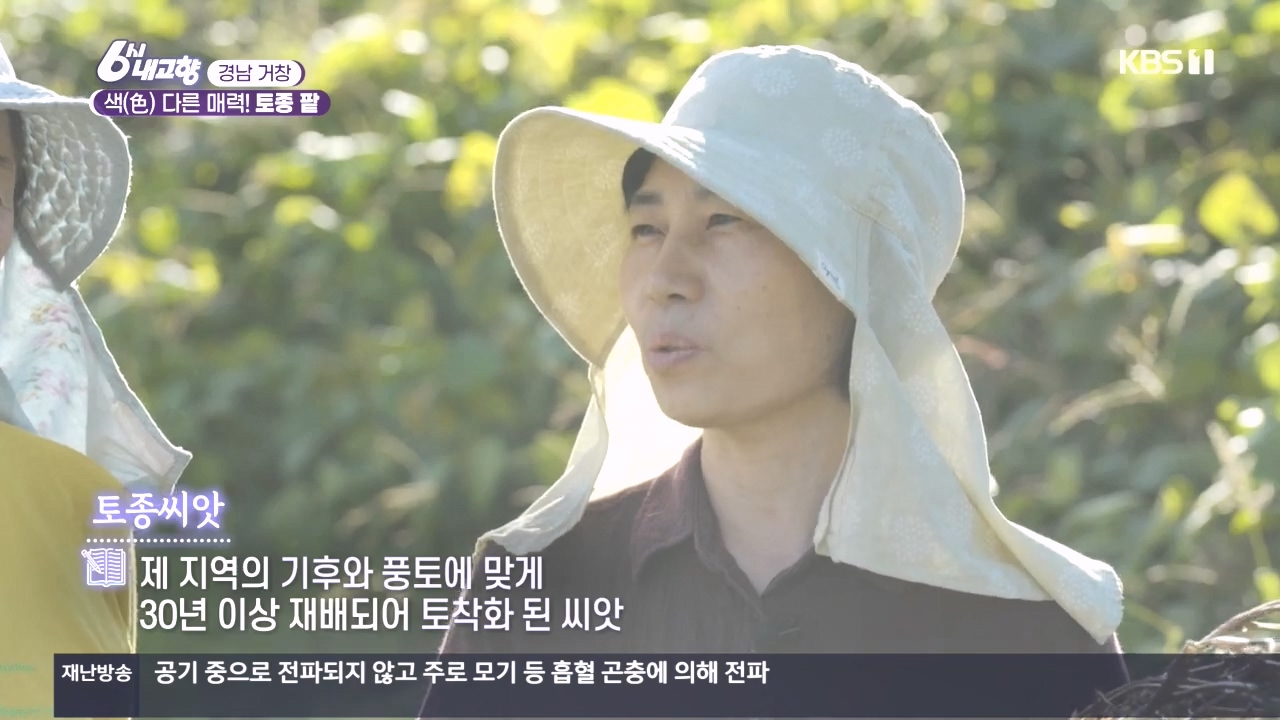 6시 내고향.E7897.231025p.H264-F1RST.mp4_20231025_195917.626.jpg