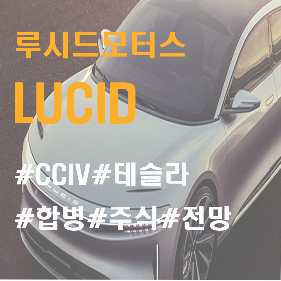  루시드 모터스(Lucid) - 테슬라의 대항마?
