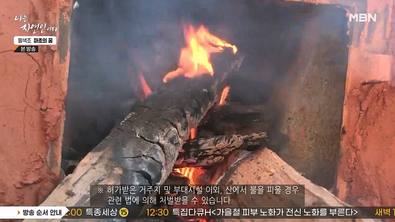 나는 자연인이다.E544.230309p-NEXT.mp4_20230309_191752.127.jpg