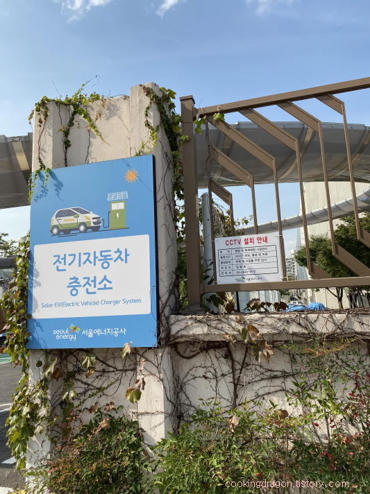  신목동역 안양천 산책 추천