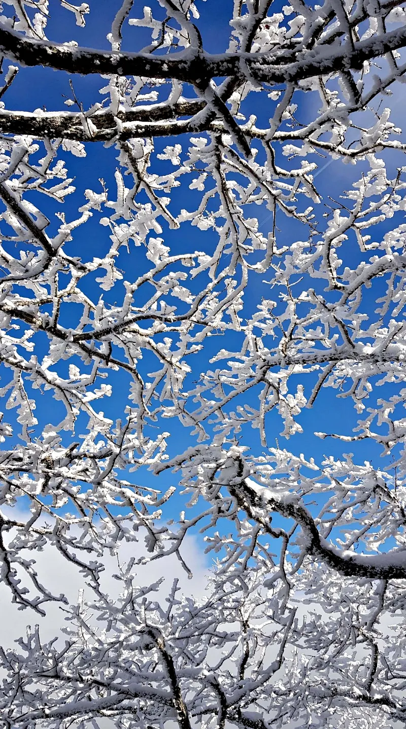 제주 한라산 설경 눈꽃