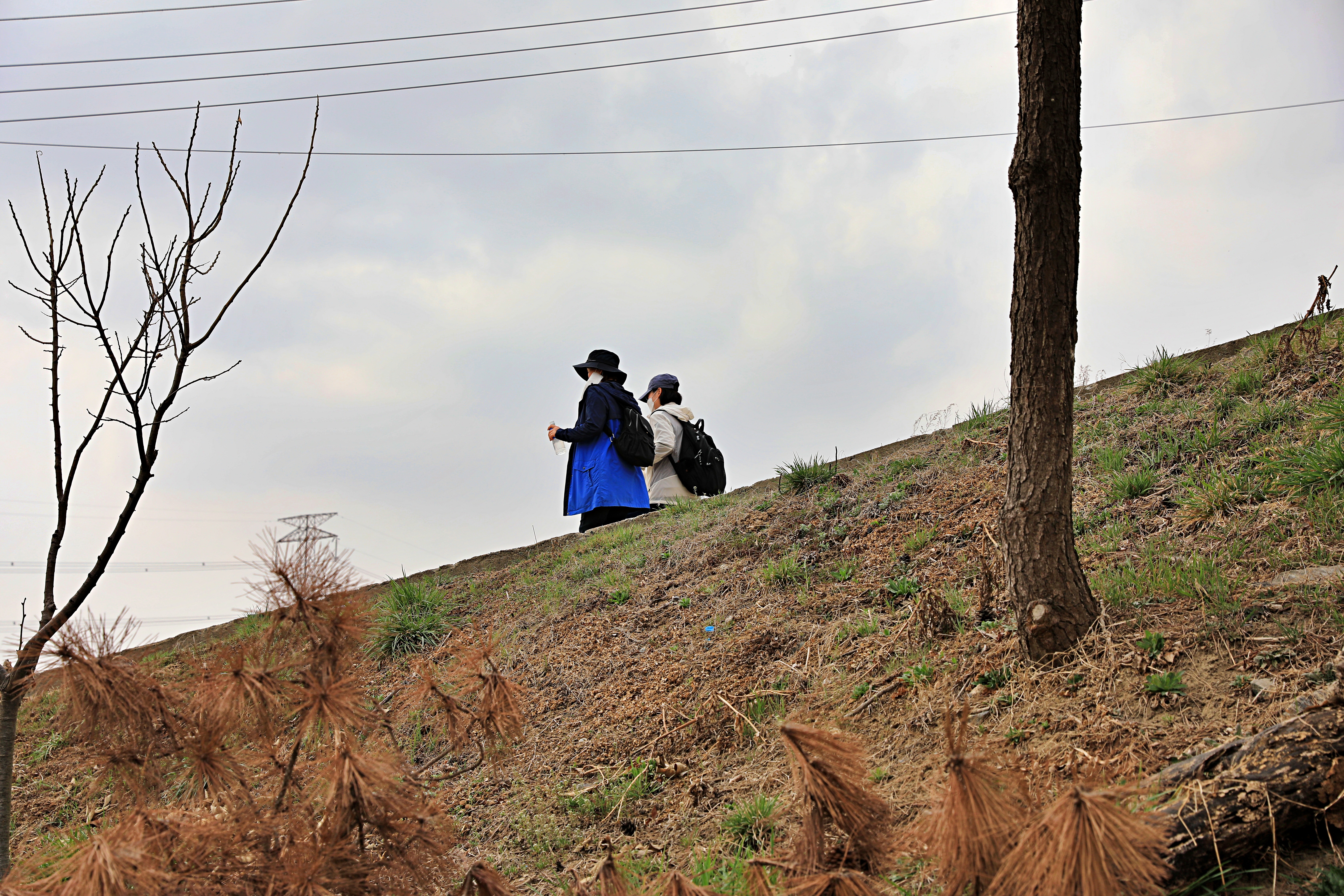 평택섭길(바닷물길) 231