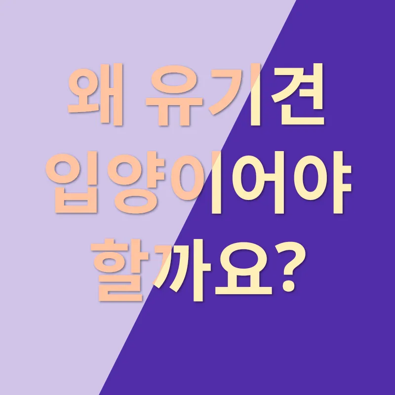 유기견 입양_1
