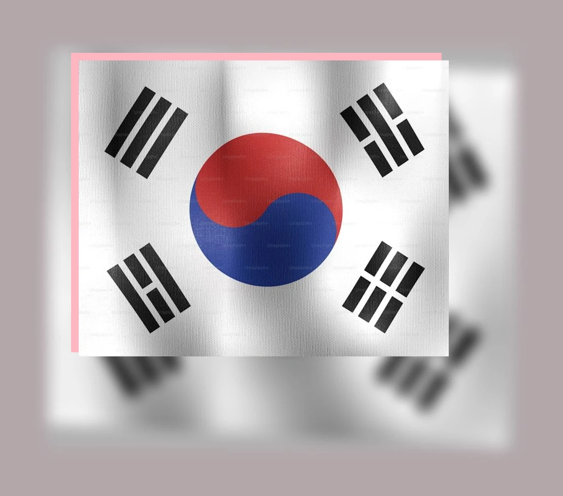 한국어교원 자격증 취득_2_subsection