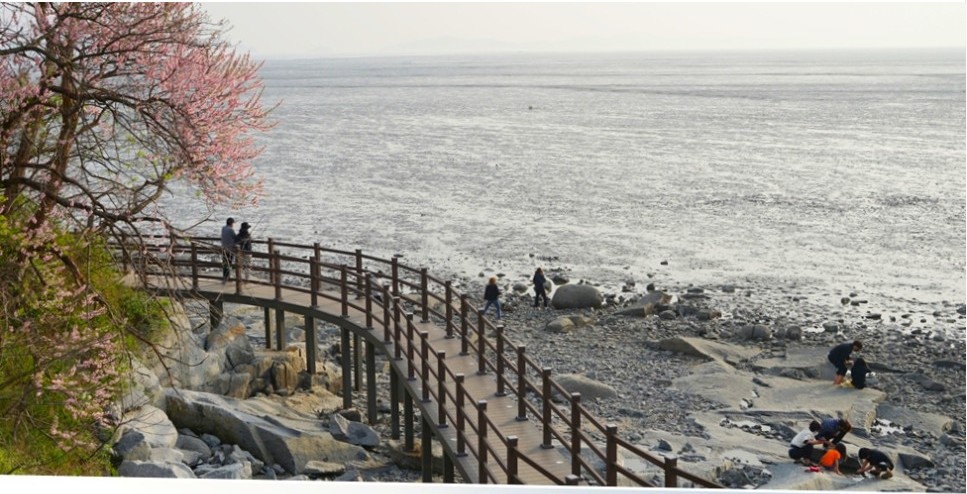 강화 동막해수욕장-사진