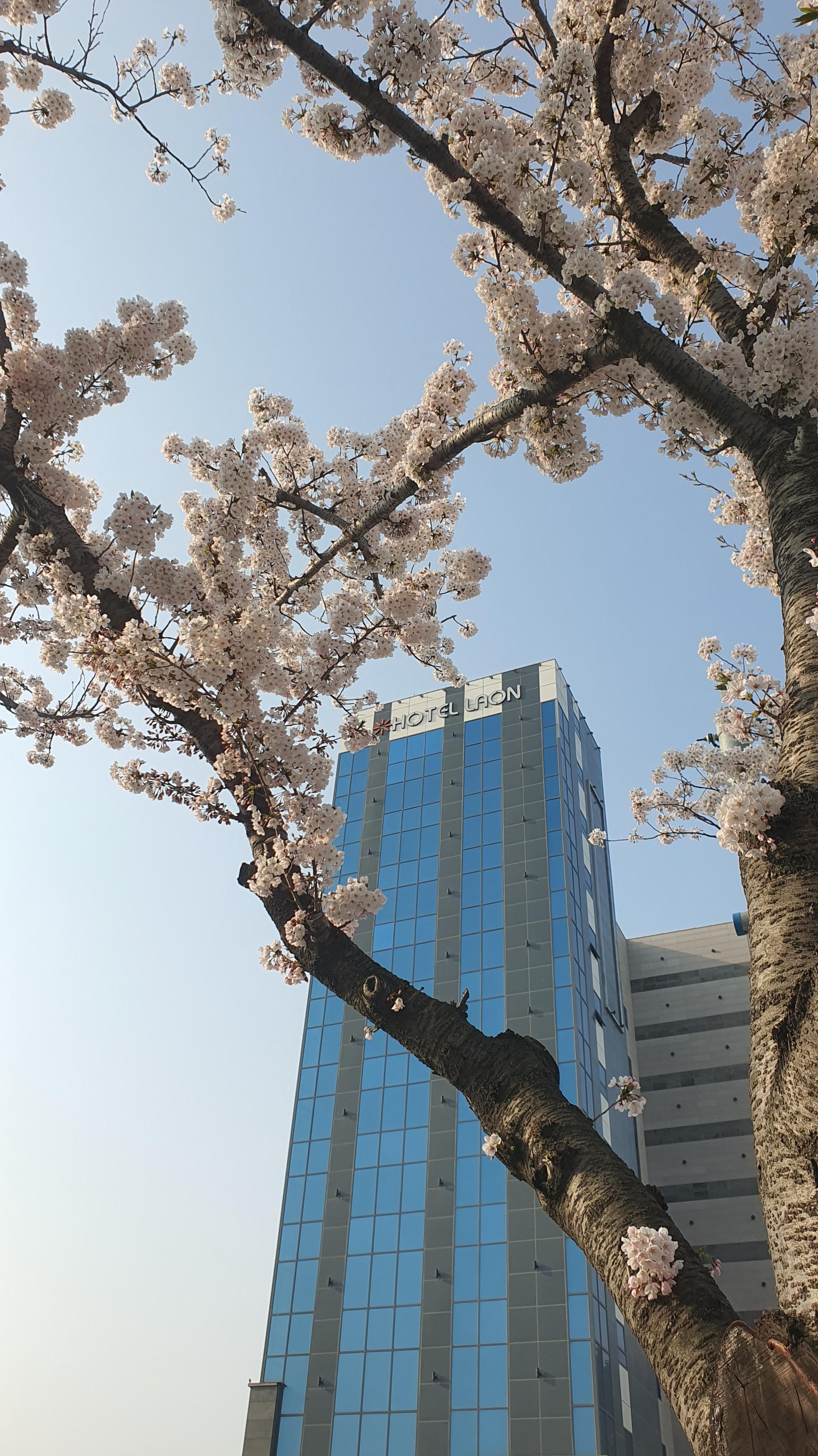 송정해수욕장 라온 호텔, 죽도공원, 해변열차