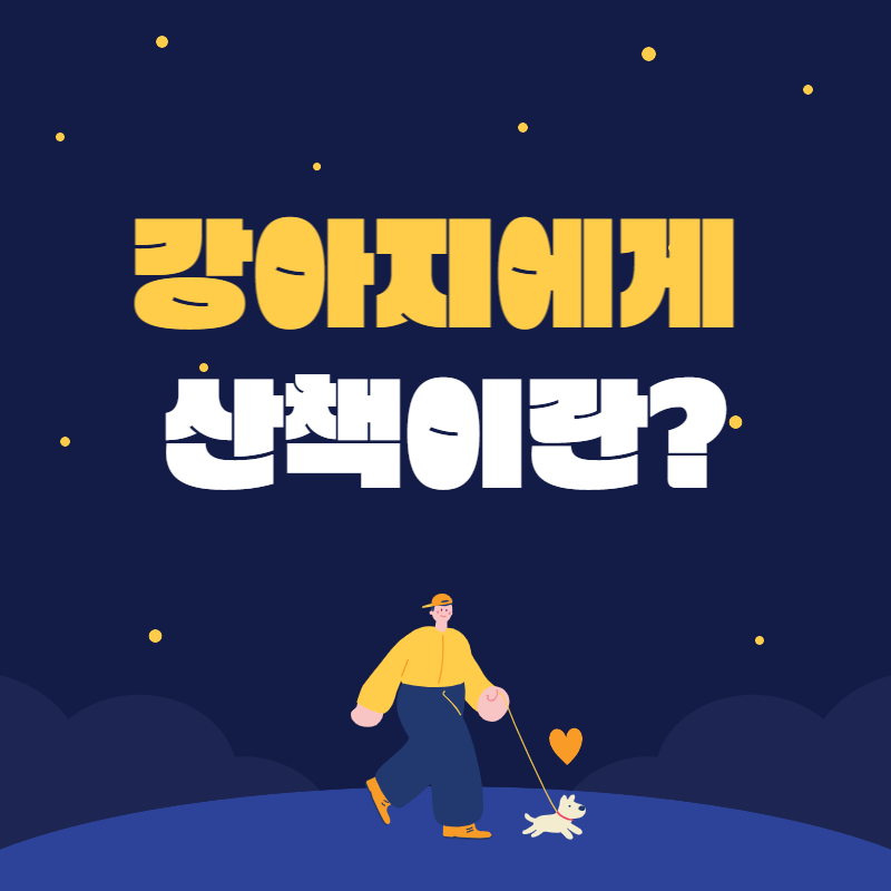  강아지에게 산책이란?