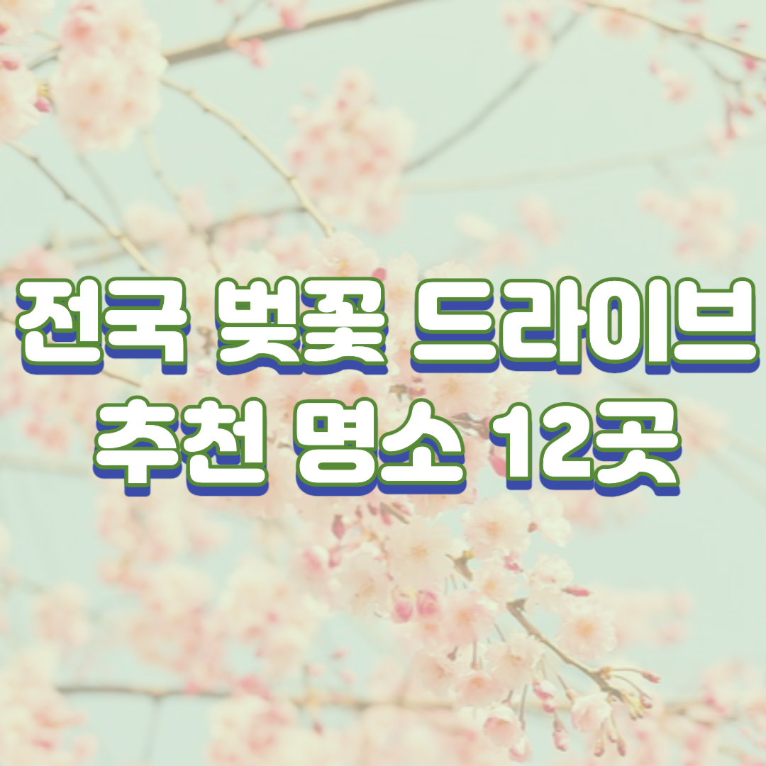  벚꽃 만개 시기? 전국 벚꽃 드라이브 추천 명소 12곳