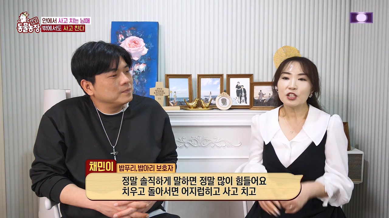 TV 동물농장.E1175.240610p-NEXT.mp4_20240609_160233.046.jpg