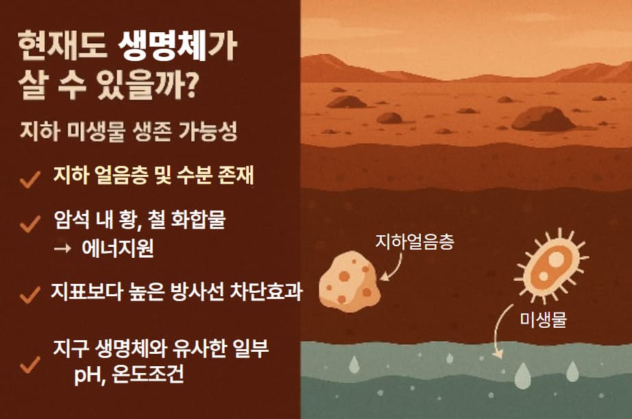 화성에서 연재 생명체가 있을 가능성을 예측하는 이미지,