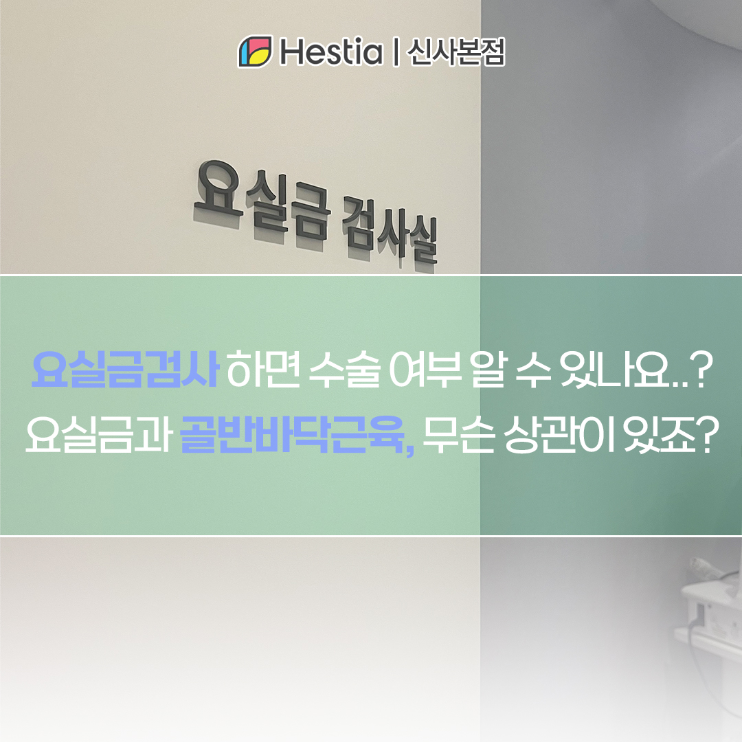요실금검사 하면 수술 여부 알 수 있나요..? 요실금과 골반바닥근육, 무슨 상관이 있죠?